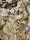 Paleolit Babérlevél egész 1kg Bay leaves whole (laurel)