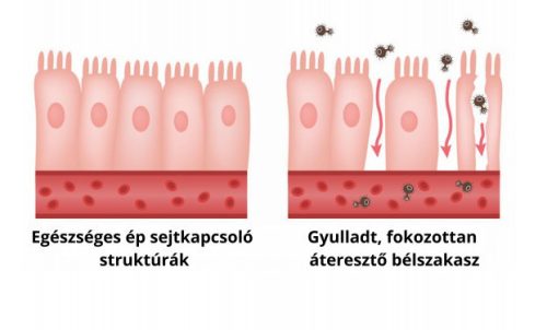 NapfényVitamin ColonBalance Plus problémaspecifikus probiotikum 60db