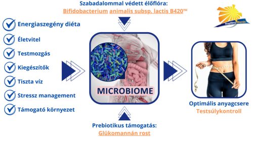 NapfényVitamin SlimProBalance élőflórás probiotikum 120db