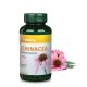 Vitaking Echinacea 250mg Bíbor kasvirág (90) kapszula