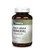 Vitaking Multi Mega Mineral 90db tabletta