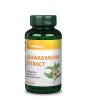 Vitaking Ashwagandha kivonat 240mg kapszula 60db