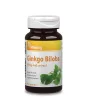 Vitaking Ginkgo Biloba 60mg (90) tabletta