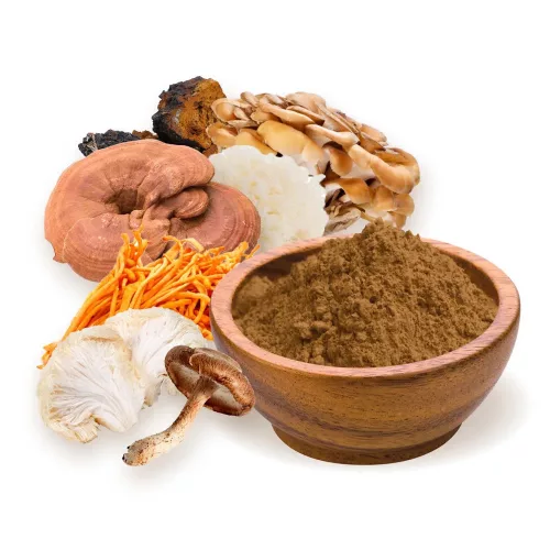 BioMenü BIO 7-gomba keverék por 100g