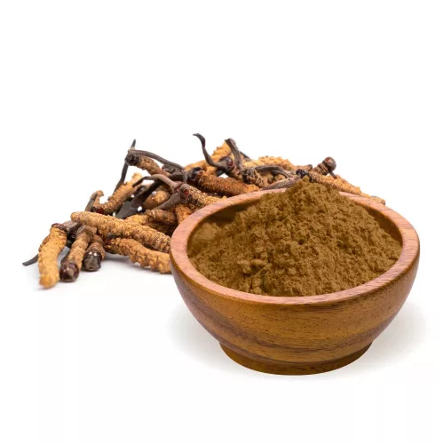 BioMenü BIO Cordyceps sinensis gomba kapszula 60db