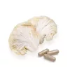 BioMenü BIO Süngomba kapszula 60db