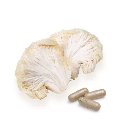 BioMenü BIO Süngomba kapszula 60db