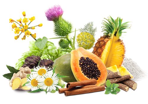 Natur Tanya® LIPO+ koncentrátum 500ml